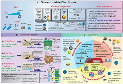 Nanotechnology in Plant Science: To Make a Long Story Short